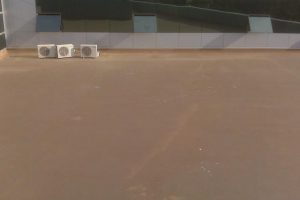 Centro de Negocios Nuevo Vallarta 01